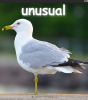 unusual-one-leg
