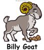 Billy-Goat