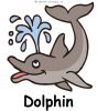 Dolphin-