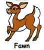 Fawn-Baby-Deer
