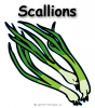 Scallions