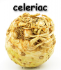 celeriac