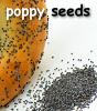 poppy-seeds
