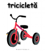 tricicleta