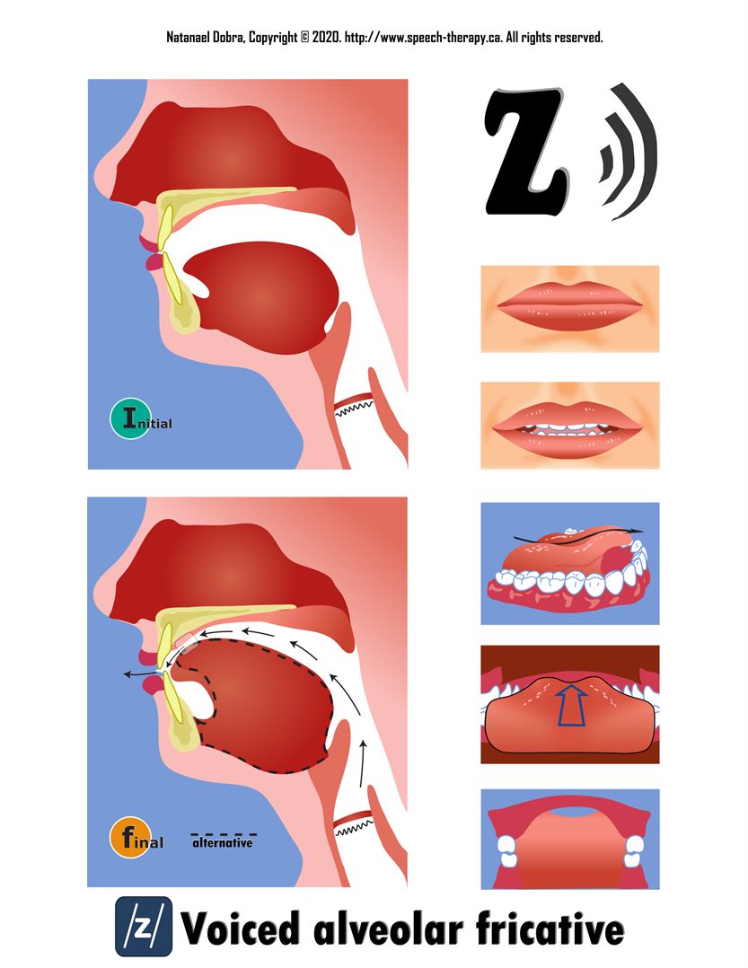 Http www speech therapy ca Fricatives