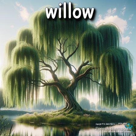 willow