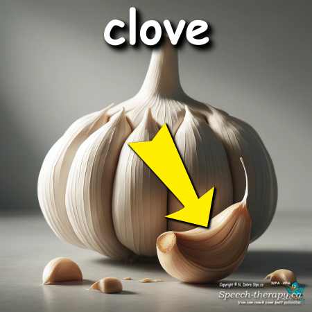 clove.png