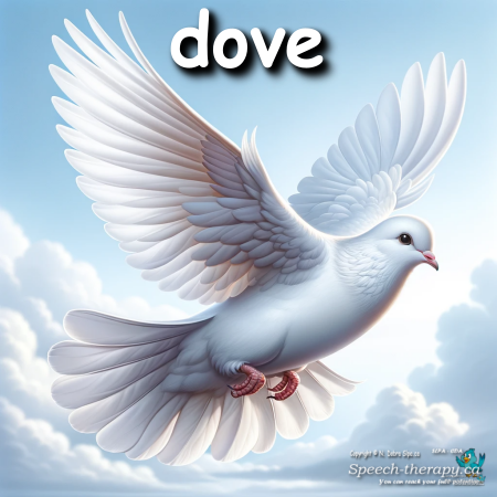 dove.png